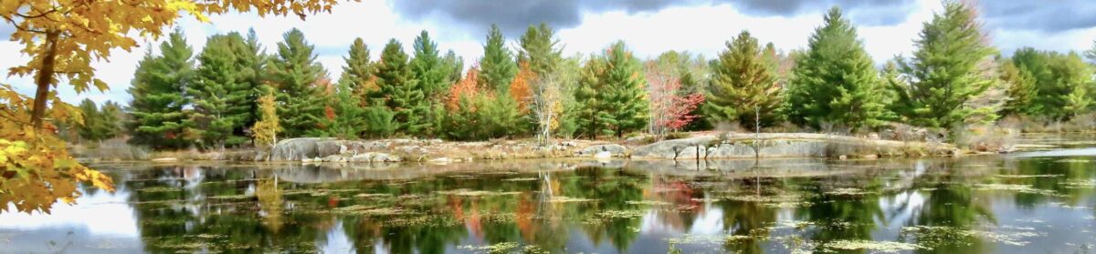 Friends of the Carp Hills